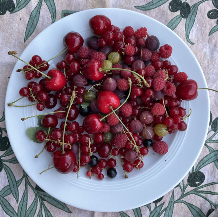 Teller mit Beeren